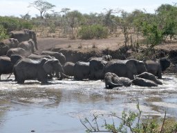 Western_Corridor2009-16